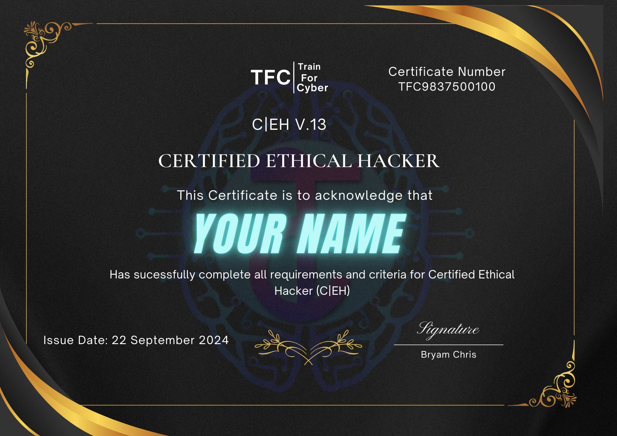 TrainForCyber_certification